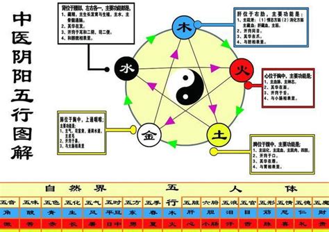 科技五行属什么|数字科技五行属什么